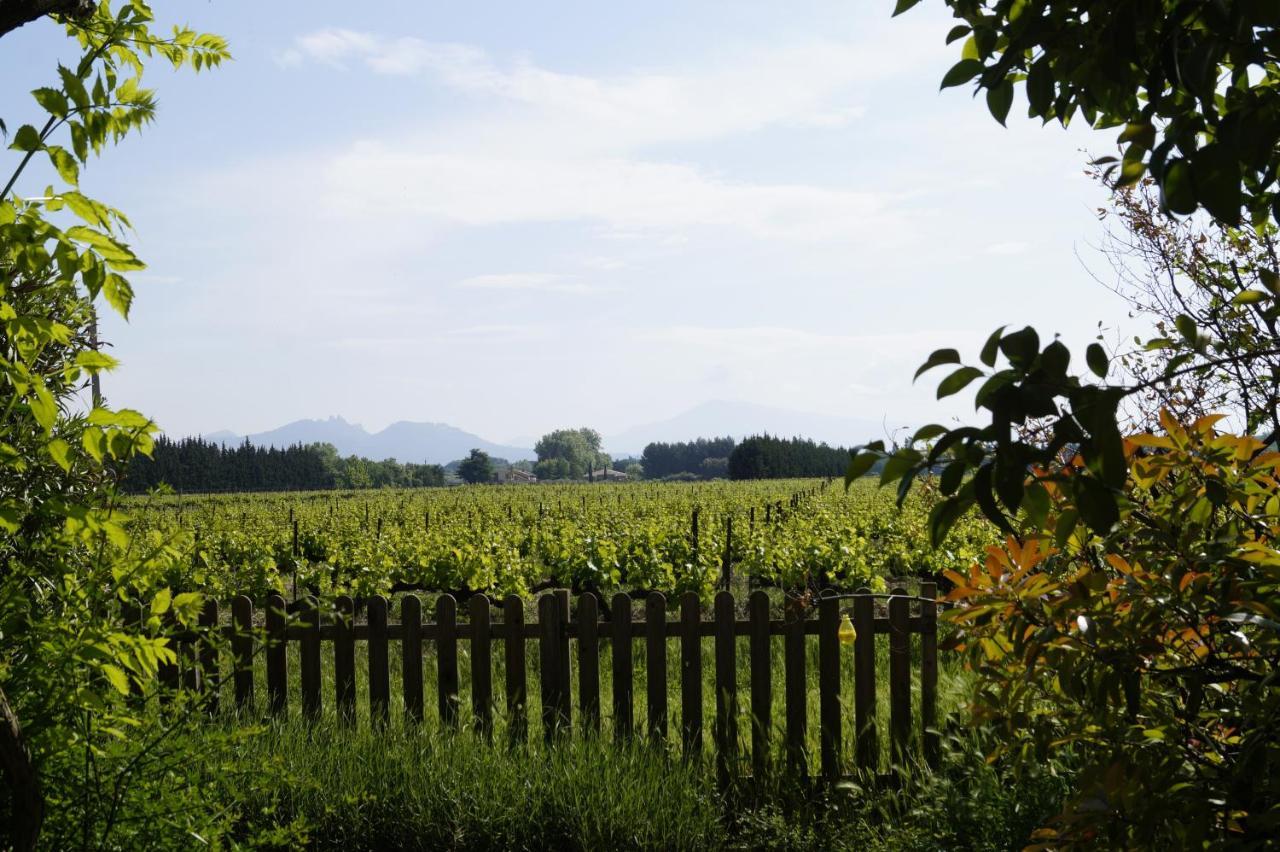 Mas Du Clos De L'Escarrat Jonquieres  Екстериор снимка