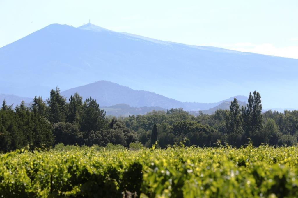 Mas Du Clos De L'Escarrat Jonquieres  Екстериор снимка